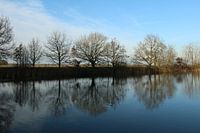 Réflexions au Kolham