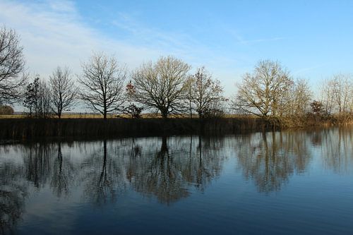 Réflexions au Kolham