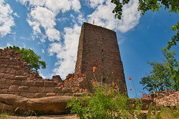 Castle ruin in Alsace by Tanja Voigt