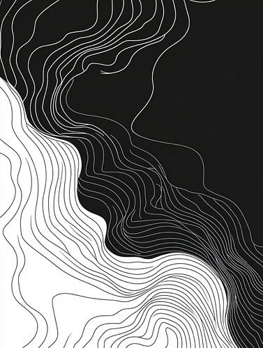 Abstract: golvende zwarte en witte lijnen die vloeiend in elkaar overgaan