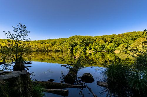 Lac Hertha, parc national de Jasmund, île de Rügen
