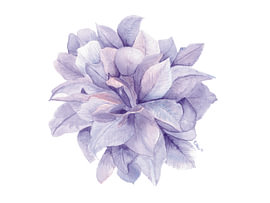 Zarte violette Blüte – Minimalistische Aquarell-Pfingstrose von Chrz - AquaPixelFusion