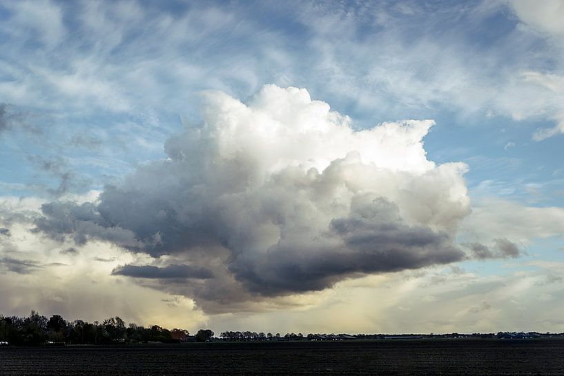 Mega cloud von Anita Meis