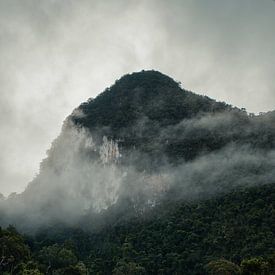 De bergen en jungle in Khao Sok, Thailand van Nathanael Denzel Allen