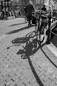 Jeu d'ombres. Pays cycliste des Pays-Bas.