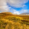 Regenbogen in den Highlands von Daniela Beyer