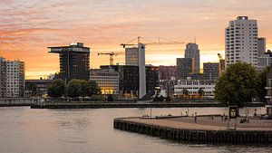 Rotterdam an der Maas von Michael Fousert