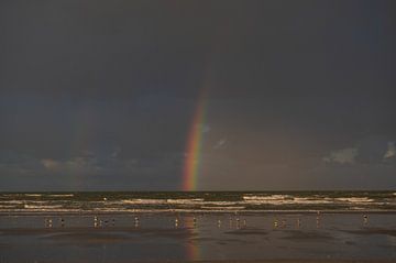 Regenboog aan de kust van Machiel Kraaij