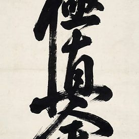 Spirit of Kyokushin van Victor Weijers