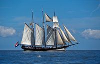 La goélette à trois mâts Oosterschelde pendant la manifestation de Delfsail par Henk Meijer Photography Aperçu