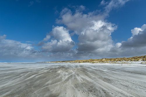 Een mooie dag op het strand met veel wind