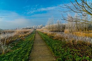 Polderlandschaft von Ivo de Rooij