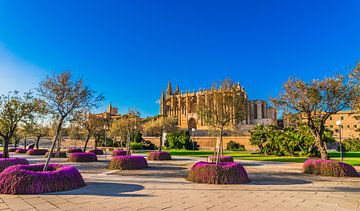 Prachtig uitzicht op de kathedraal van Palma de Majorca, Spanje van Alex Winter