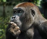 Gorilla : Ouwehands Dierenpark von Loek Lobel Miniaturansicht