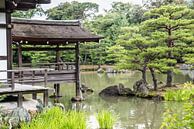 Japanse Tempel van Celina Dorrestein thumbnail