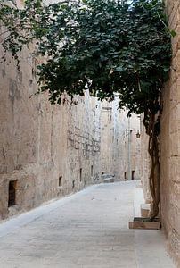 street in mdina on the malta island von ChrisWillemsen