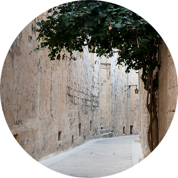 straatje in mdina op  het eiland malta van ChrisWillemsen