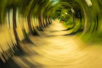Tunnel vision