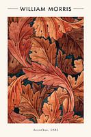 William Morris - Acanthus