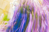 ICM grass