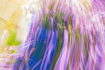ICM grass