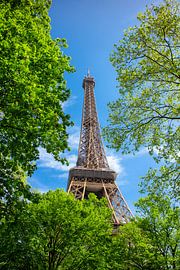 Eiffelturm Foto von Bäumen - Elegante Pariser Wanddekoration von Studio Ajuut