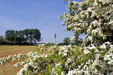 Gerbrandy tower transmitter mast of IJsselstein by Bert van Zon