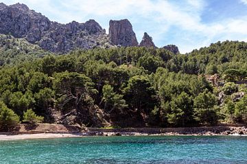 Coast at the bay Cala Tuent on the Balearic island Mallorca by Reiner Conrad