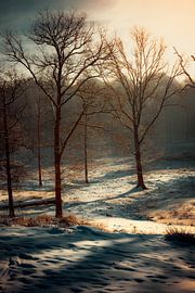 Winterschatten von Rik Hurk