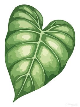 Flora van rust: Monstera in het wit