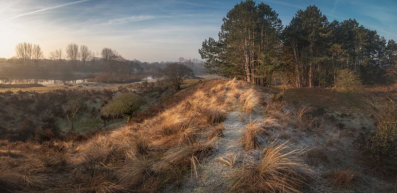 Dune landscape in Panorama (amsterdam water supply dunes) by Jolanda Aalbers