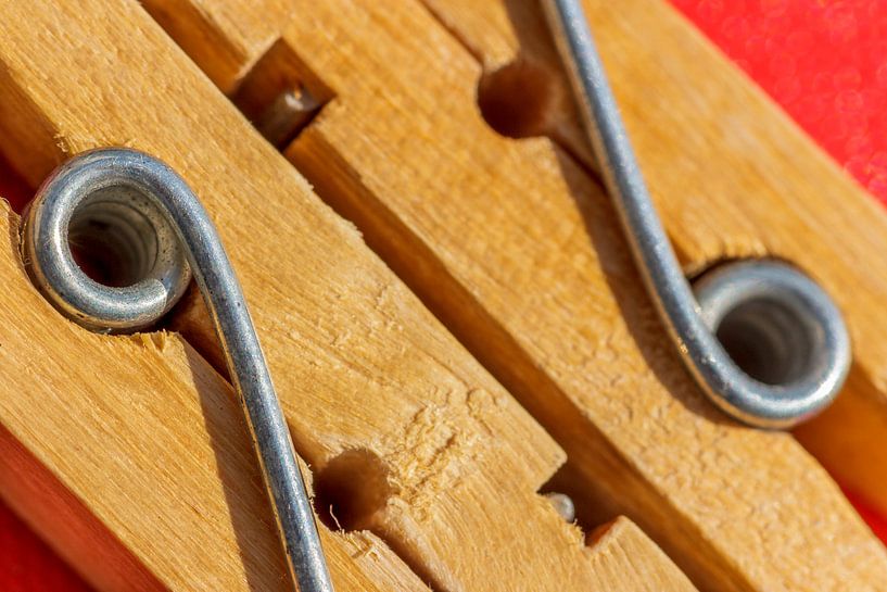 Wasknijpers von René Roos