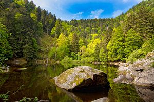 Lac de Fischboedle in den Vogesen