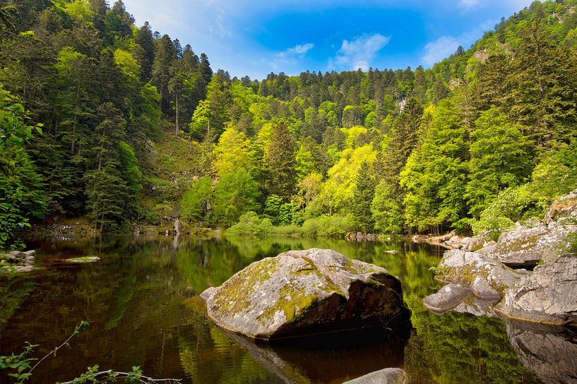 Lac de Fischboedle in den Vogesen von Tanja Voigt