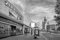 BERLIN City West at Hardenbergstrasse & Budapester Strasse | Monochrome by Melanie Viola thumbnail