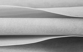 La simplicité n'est pas toujours simple : les lignes d'une tige et d'une feuille (gris clair) sur Marjolijn van den Berg