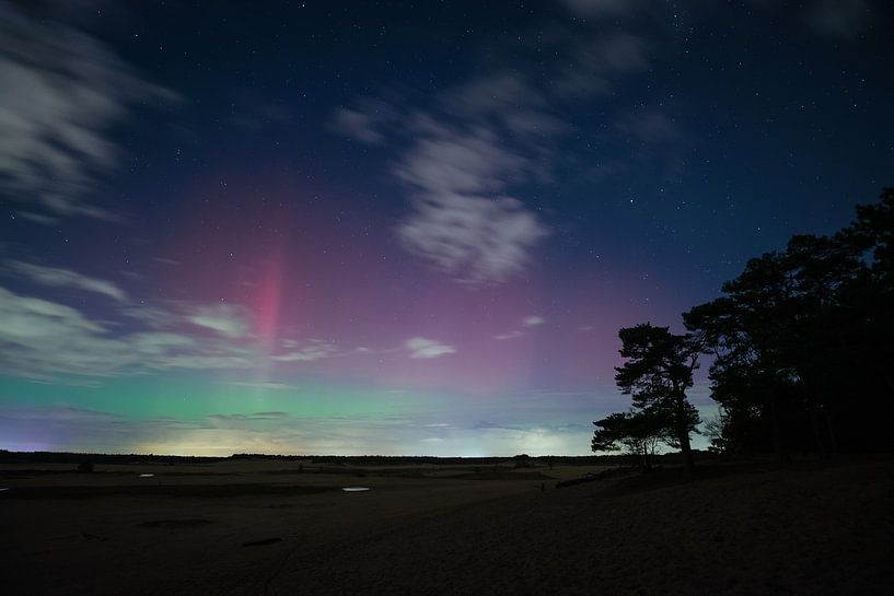 Noorderlicht in de Loonse en Drunense duinen van Evelien Huisman