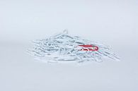 Paperclips von Arie-Jan Eelman Miniaturansicht