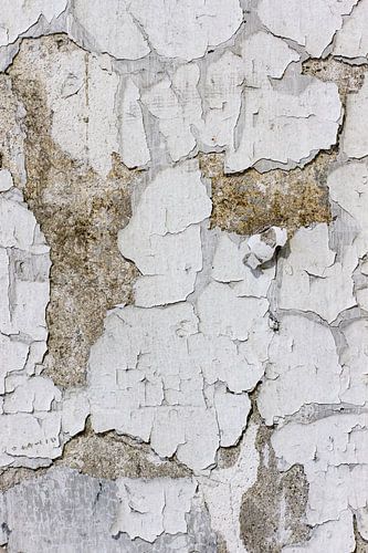 muur oude fabriekshal 2