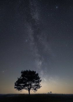 Melkweg op de Veluwe