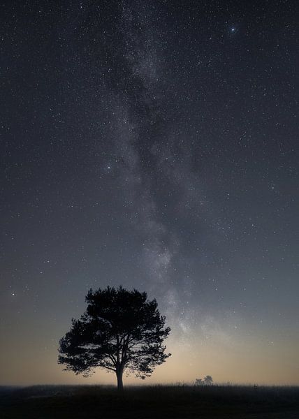 Galaxie auf der Veluwe von Jeroen Linnenkamp