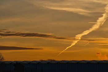 Goldener Atem über den Gewächshäusern – ein Morgen im Westland
