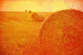 vintage hooi - hay