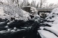 Stream in winter landscape - Vesterålen, Norway by Martijn Smeets thumbnail