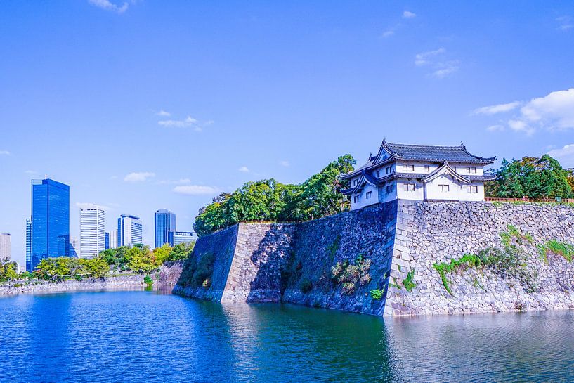 Osaka Tempel met skyline van Barbara Riedel