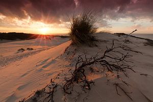 Sunset in Dune Landscape sur Rob Kints