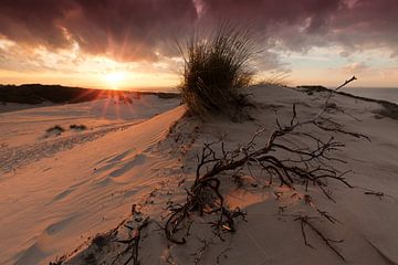 Sunset in Dune Landscape by Rob Kints