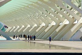 Het ritme van Calatrava by Rick Crauwels