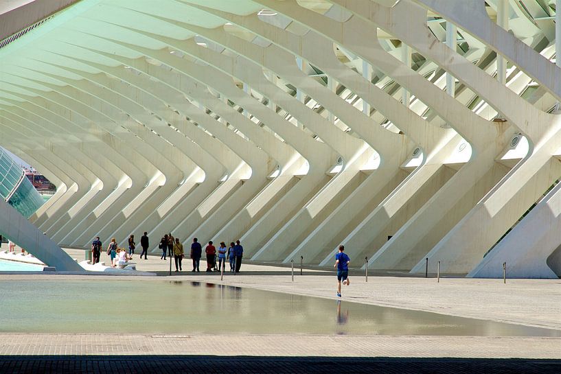 Het ritme van Calatrava par Rick Crauwels