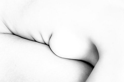 Artistiek Naakt van een Vrouw in High Key Bodyscape